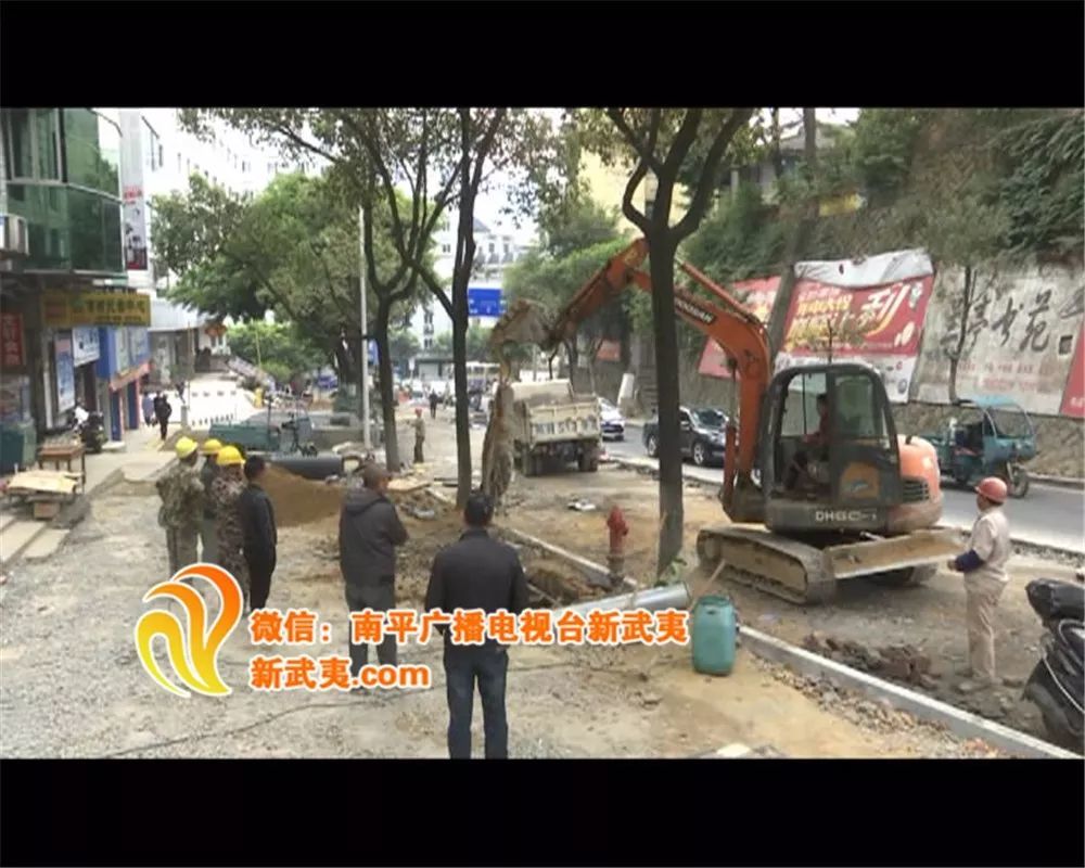 延平最新动态更新