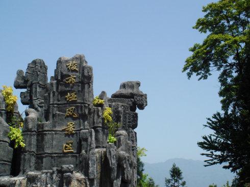 国庆出省旅游最新规定解读，出游指南与要点解析