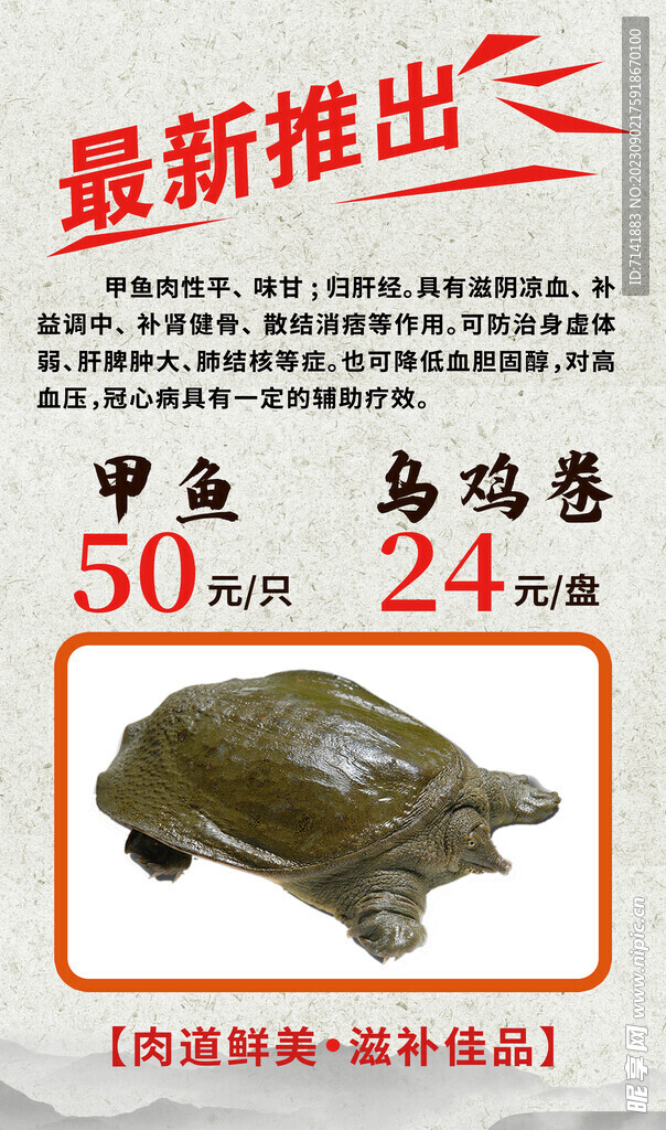 最新甲鱼探秘之旅，一场温馨的寻宝之旅