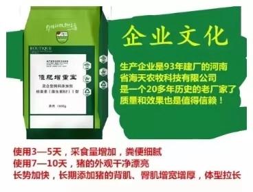 今日大猪价分析与自然美景探索的双重旅程，寻找内心平静与冒险之旅的交织